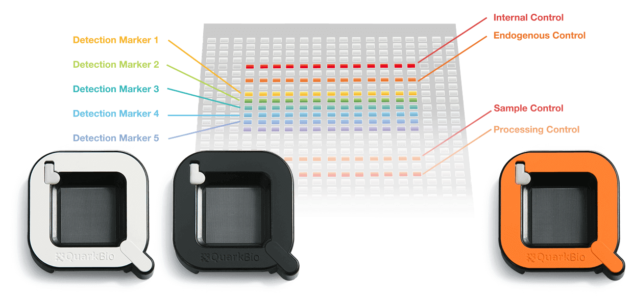 PanelChip Multi-Gene Expression-The Technology Behind PanelChip