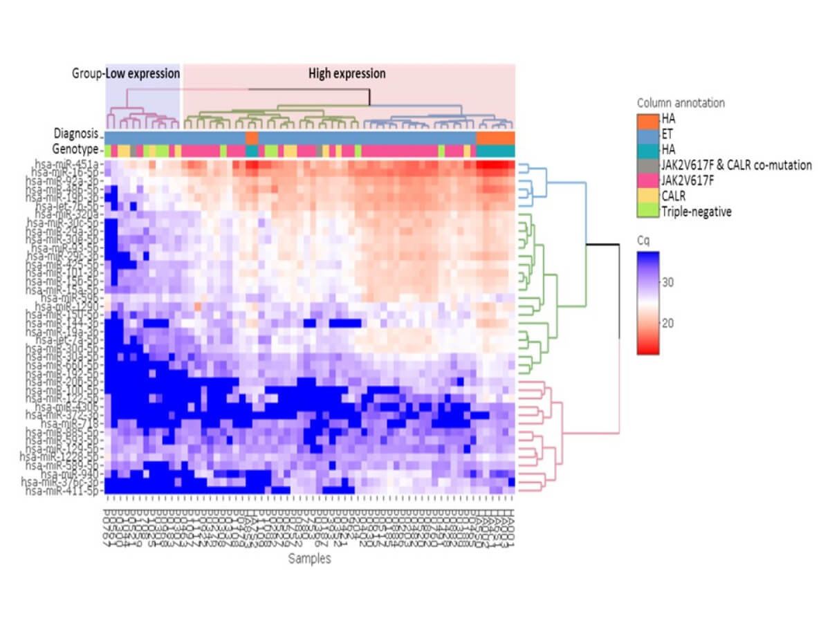 QuarkBio at ASH 2018