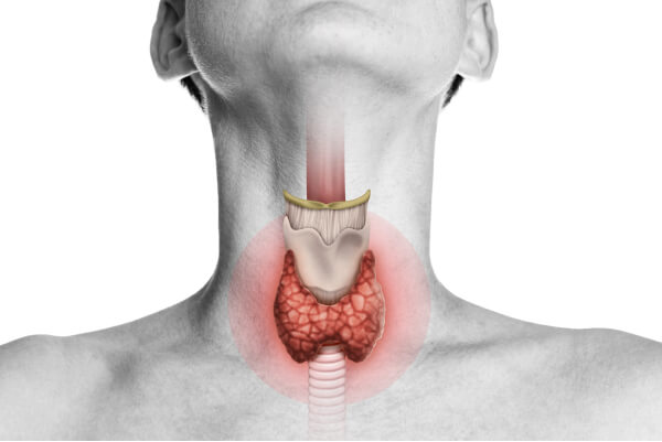 ThyroSCAN key features